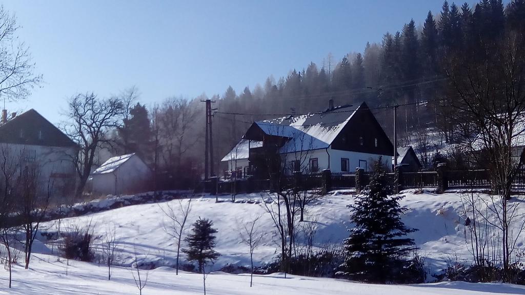 Penzion Edelstejn Petrovice Kültér fotó