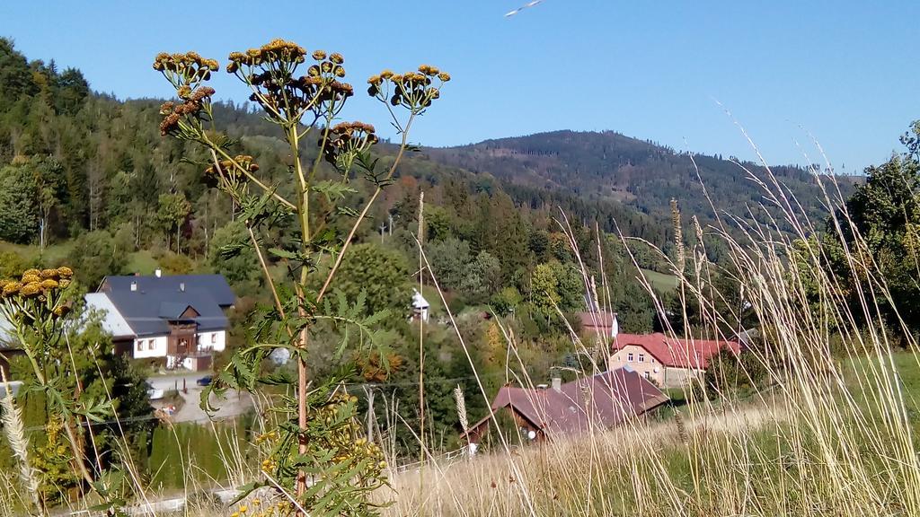 Penzion Edelstejn Petrovice Kültér fotó